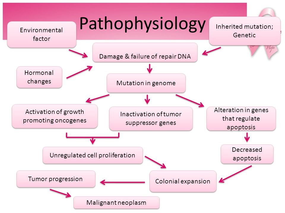 Pathophysiology Assignment Help